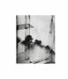 Page: - 58 | Aperture