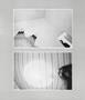 Page: - 9 | Aperture