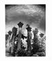 Page: - 17 | Aperture