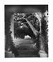 Page: - 19 | Aperture