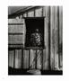 Page: - 30 | Aperture