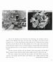 Page: - 61 | Aperture