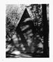 Page: - 76 | Aperture