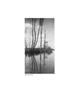 Page: - 4 | Aperture