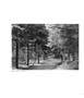 Page: - 52 | Aperture