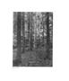Page: - 71 | Aperture