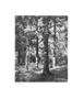 Page: - 73 | Aperture