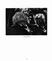 Page: - 10 | Aperture