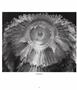 Page: - 11 | Aperture