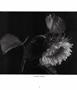 Page: - 2 | Aperture