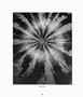 Page: - 28 | Aperture