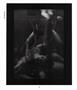 Page: - 36 | Aperture