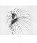 Page: - 46 | Aperture