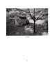 Page: - 52 | Aperture