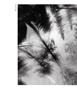 Page: - 58 | Aperture