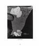 Page: - 60 | Aperture