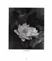 Page: - 70 | Aperture