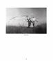 Page: - 75 | Aperture