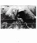 Page: - 77 | Aperture