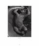 Page: - 79 | Aperture