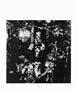Page: - 107 | Aperture