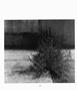 Page: - 108 | Aperture