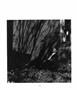 Page: - 110 | Aperture
