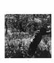 Page: - 112 | Aperture