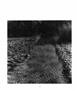 Page: - 114 | Aperture