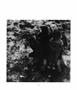 Page: - 117 | Aperture