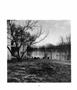 Page: - 119 | Aperture