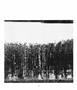 Page: - 121 | Aperture
