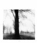Page: - 122 | Aperture