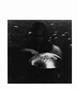Page: - 132 | Aperture