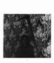 Page: - 25 | Aperture