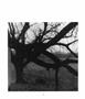 Page: - 30 | Aperture