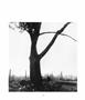 Page: - 39 | Aperture