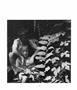 Page: - 56 | Aperture