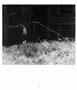 Page: - 90 | Aperture