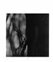 Page: - 96 | Aperture