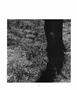 Page: - 97 | Aperture