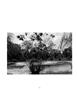 Page: - 114 | Aperture