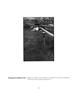 Page: - 127 | Aperture