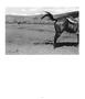 Page: - 19 | Aperture