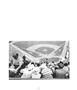 Page: - 29 | Aperture