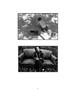 Page: - 81 | Aperture