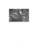 Page: - 83 | Aperture