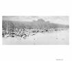 Page: - 141 | Aperture