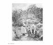 Page: - 192 | Aperture