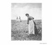 Page: - 193 | Aperture